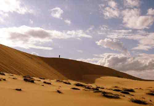 Quang Binh sand dune