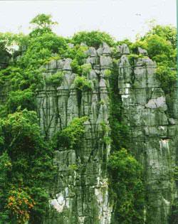 Layer of ancient Karst